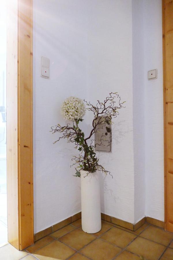Vorderhof Apartment Sankt Martin am Tennengebirge Ngoại thất bức ảnh
